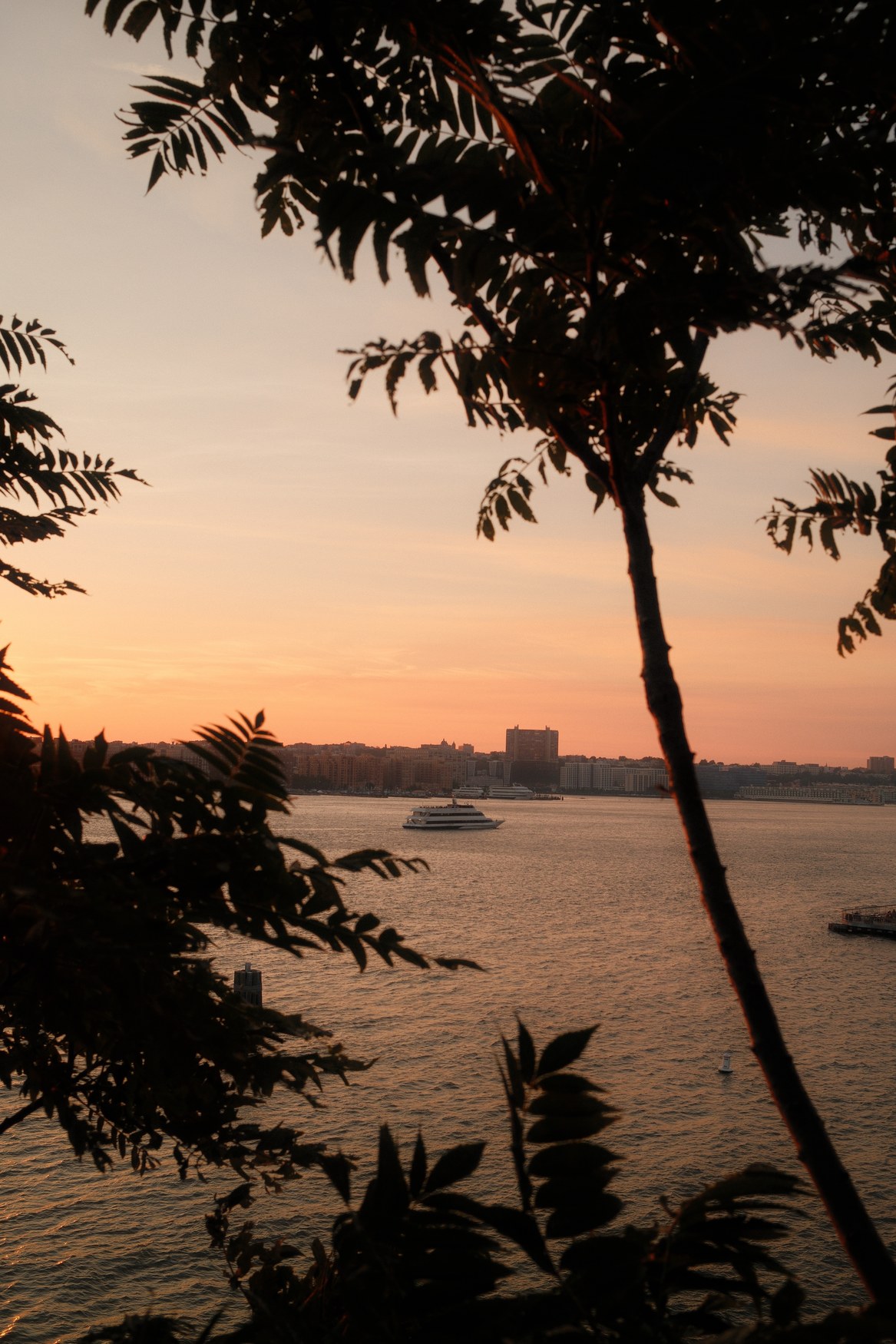 Golden Hour on the Water