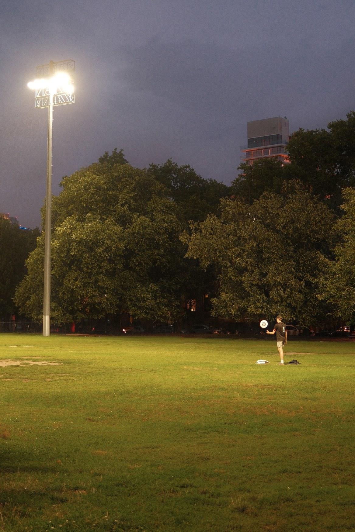 Night Under Park Floodlights